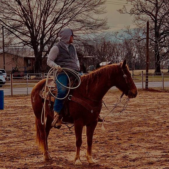 dustinharmon685